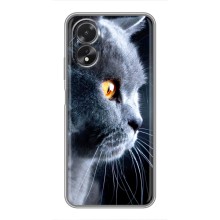 Чехлы с Котиками для Oppo A18 (VPrint) (Серый Кот)