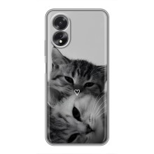 Чехол с рисунком кот на Oppo A18 (Пара котов)