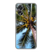 Силиконовый чехол с КАРТИНКАМИ лето для Oppo A18 (AlphaPrint) (Пальма)