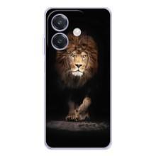 Чехол с картинкой на OPPO A3 – Красивый Лев