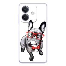 Бампер для OPPO A3 з картинкою "Песики" (В окулярах)