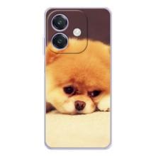 Чехол (ТПУ) Милые собачки для OPPO A3 – Померанский шпиц