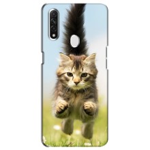 Чехлы с Котиками для Oppo A31 (VPrint) (Прыжок кота)