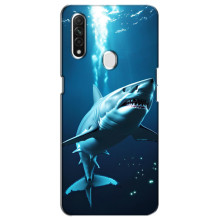 Чохол з картинкою 'Хижаки' для Oppo A31 – Акула