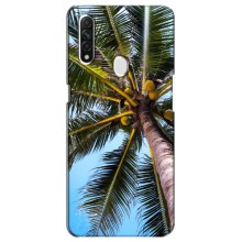 Силиконовый чехол с КАРТИНКАМИ лето для Oppo A31 (AlphaPrint) (Пальма)