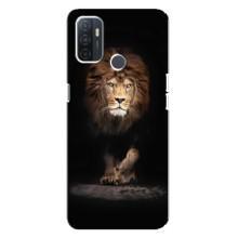 Чехол со Львом для Oppo A32 (VPrint) (Лев)