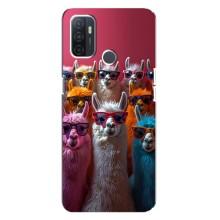 Чохол з принтом стильні тварини для ОППО А32 – Лами в окулярах
