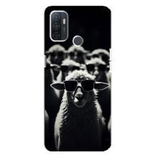 Чохол з принтом стильні тварини для ОППО А32 – Овечка в окулярах