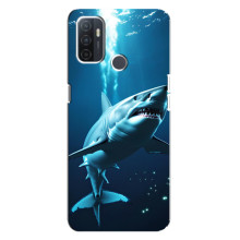 Чохол з картинкою 'Хижаки' для Oppo A32 – Акула
