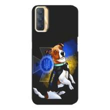Чехлы с картинкой собаки Патрон для Oppo A33 (AlphaPrint) – Патрон собачка