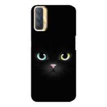 Чехол на тематику: Коты для Oppo A33 (Черный Котик)