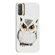 Чохол з пташками на Oppo A33 (VPrint) (Мила Сова)