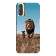 Чохол Король лев на OPPO A33 – Мусафа і Сімба