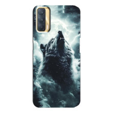 Чохол з картинкою 'Хижаки' для Oppo A33