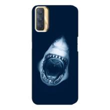 Силиконовый бампер с картинкой животных для Oppo A33 (Пасть Акулы)