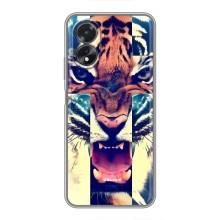 Чехлы с изображением разных животных для Oppo A38 (Яркий Тигр)