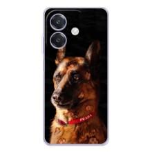Чехлы с картинками животных OPPO A5 Pro (Овчарка)