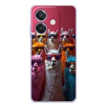 Чохол з принтом стильні тварини для А5 Про (Лами в окулярах)