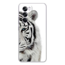 Чехлы с картинками животных OPPO A5 (Белый Тигр)
