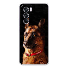 Чехлы с картинками животных OPPO A5 (Овчарка)