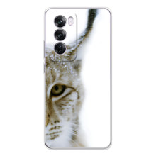 Чехлы с картинками животных OPPO A5 (Рысь)