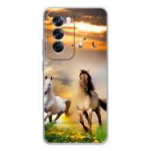 Чехлы с Лошадью дляOPPO A5 (VPrint) (Лошадки)