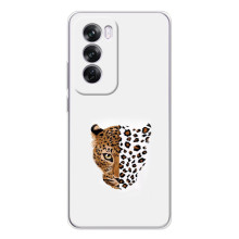 Чехол с леопардовым принтом на OPPO A5 (Леопард на белом)