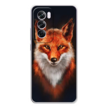 Чехол с принтом лисички на  – Лиса на черном