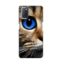 Чехлы с Котиками для Oppo A52 (VPrint) (Глаз кота)