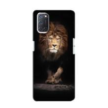 Чохол з картинкою ЛЕВ для Oppo A52 (VPrint) (Лев)