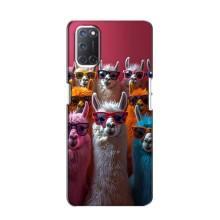 Чохол з принтом стильні тварини для OPPO A52 (Лами в окулярах)