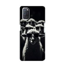 Чохол з принтом стильні тварини для OPPO A52 (Овечка в окулярах)