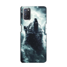 Чехол с картинкой «Хищники» для Oppo A52