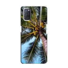 Силіконовий чохол з КАРТИНКАМИ літо для Oppo A52 (AlphaPrint) (Пальма)