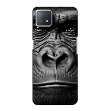 Чехлы с Горилой на Оппо А53 (5G) – Черная обезьяна
