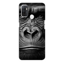 Чохли з Горилою на Оппо А53 – Чорна мавпа