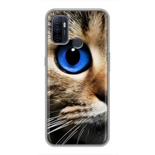 Чехлы с Котиками для Oppo A53 (VPrint) (Глаз кота)