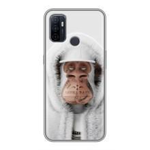 Чехлы с Обезьянами NFT для Oppo A53 (AlphaPrint) (обезьяна NFT в тату)