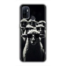 Чехол с принтом стильные животные для Оппо А53 – Овечка в очках