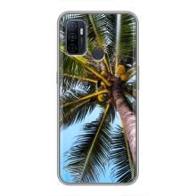 Силиконовый чехол с КАРТИНКАМИ лето для Oppo A53 (AlphaPrint) (Пальма)