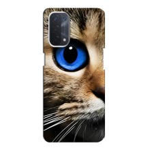 Чехлы с Котиками для Oppo a54 (5G) (VPrint) (Глаз кота)