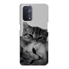 Чехол с рисунком кот на Oppo a54 (5G) – Пара котов