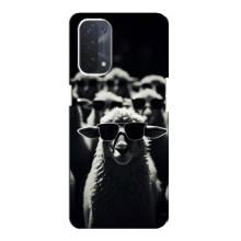 Чохол з принтом стильні тварини для OPPO а54 (5G) – Овечка в окулярах