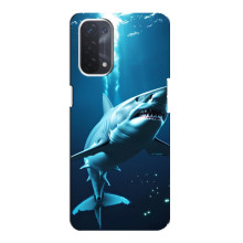 Чохол з картинкою 'Хижаки' для Oppo a54 (5G) – Акула
