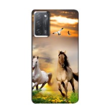 Чехлы с Лошадью дляOPPO A55 (VPrint) (Лошадки)