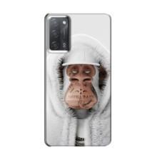 Чохли з Мавпами NFT для OPPO A55 (AlphaPrint)