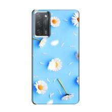 Чехол с Цветами для OPPO A55 (ромашки на голубом)
