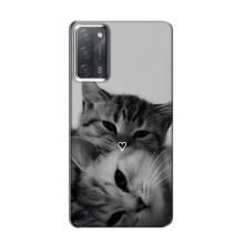 Чехол с рисунком кот на OPPO A55 – Пара котов