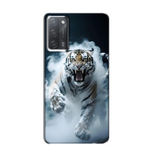 Чехол с картинкой «Хищники» для OPPO A55 – Тигр