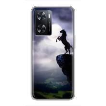 Чохли з зображенням різних тварин на Oppo a57s (Кінь)